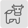 گوشت گوساله