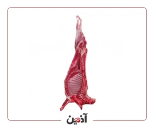 شقه گوسفندی